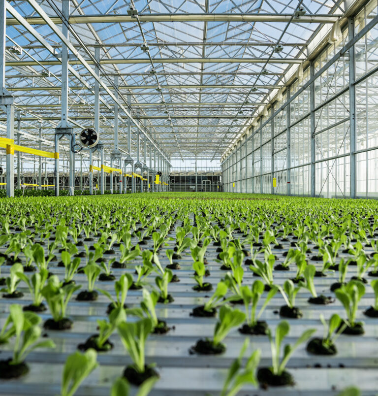 Agri